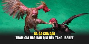 Đá Gà Cựa Dao - Tham Gia Hấp Dẫn Qua Nền Tảng 188Bet
